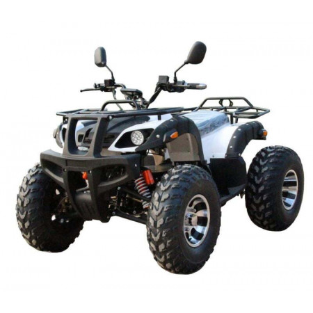 Электроквадроцикл для взрослых EA206 MAXI 4000W 55Ah