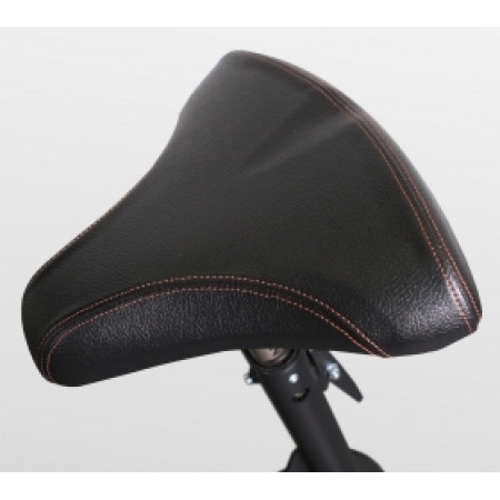 Скамья Скотта Bronze Gym BR-1007
