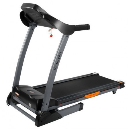 VictoryFit VF-2004