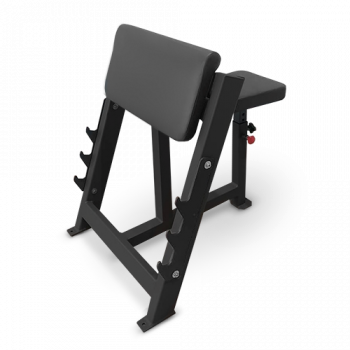 Скамья Скотта Bronze Gym AL-303