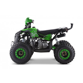 Квадроцикл YACOTA RENEGADE