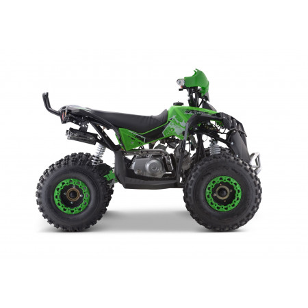 Квадроцикл YACOTA RENEGADE