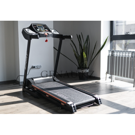 Беговая дорожка Genau TR50