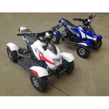 Квадроцикл GreenCamel Гоби K22 (36V 500W R4 Цепь)