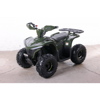 Квадроцикл GreenCamel Гоби K90 (48V 750W R7 Дифф) LUX Bluetooth