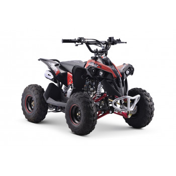 Квадроцикл YACOTA RENEGADE Mini 110