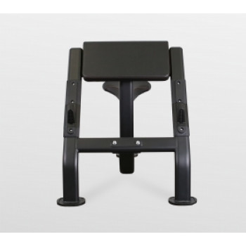 Скамья Скотта Bronze Gym BR-1007