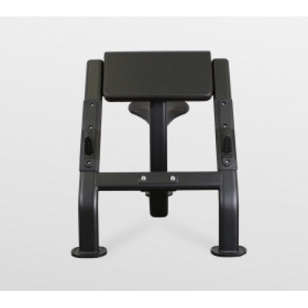 Скамья Скотта Bronze Gym BR-1007