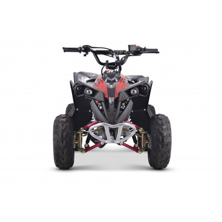 Квадроцикл YACOTA RENEGADE Mini 110