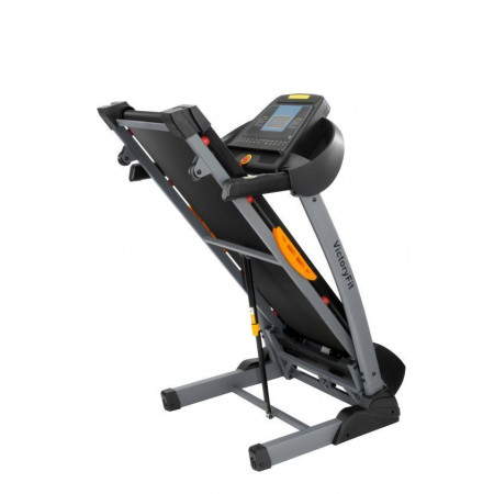 VictoryFit VF-2004