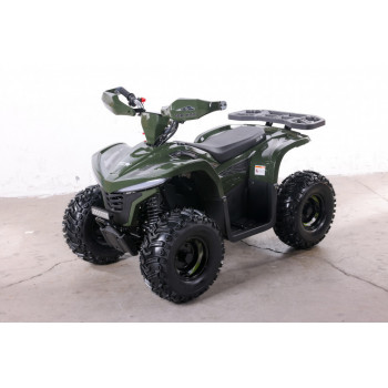 Квадроцикл GreenCamel Гоби K90 (48V 750W R7 Дифф) LUX Bluetooth