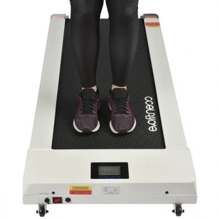 Evo fitness fusion