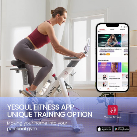 Xiaomi Велотренажер Yesoul BS3-W