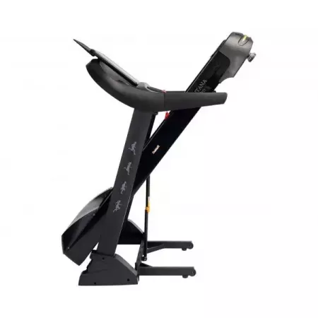 Беговая дорожка DFC Santanan Pro T757