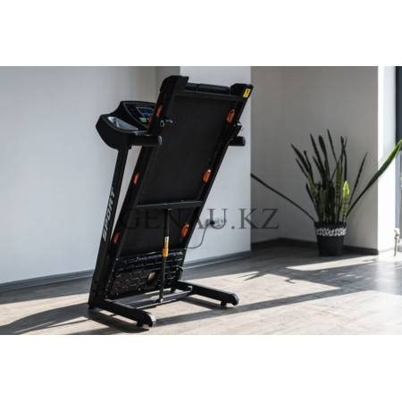 Беговая дорожка Genau TR50