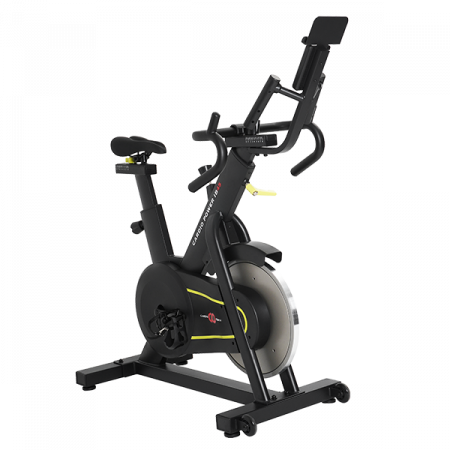 CardioPower IB45