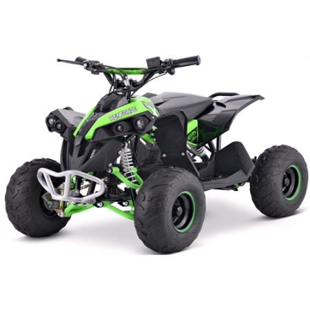 Квадроцикл YACOTA RENEGADE Mini 110