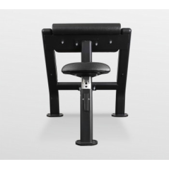 Скамья Скотта Bronze Gym BR-1007