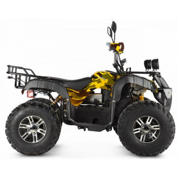 Электроквадроцикл Voltrix Raider Dual Motor 60V4000W