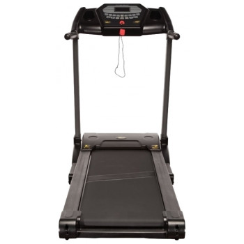 Intensor T300