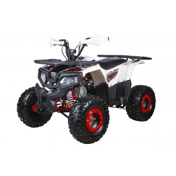 Квадроцикл YACOTA FUSION 125 PRO