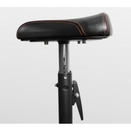 Скамья Скотта Bronze Gym BR-1007