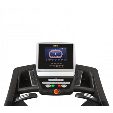 BRONZE GYM T812 LC TFT