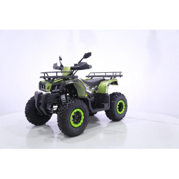 Квадроцикл YACOTA WARRIOR 200 PRO